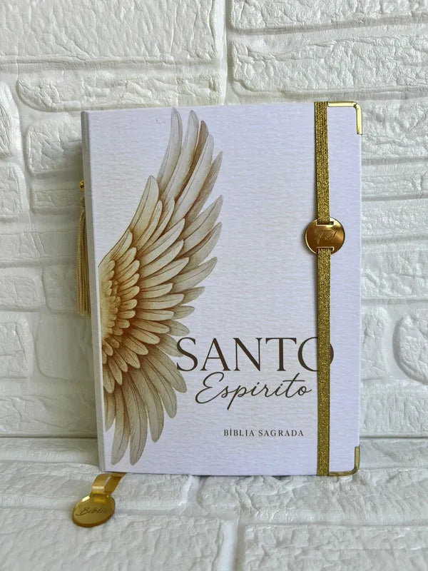 Bíblia Sagrada - Evangélica letra Gigante com abas- Coleção Espírito Santo